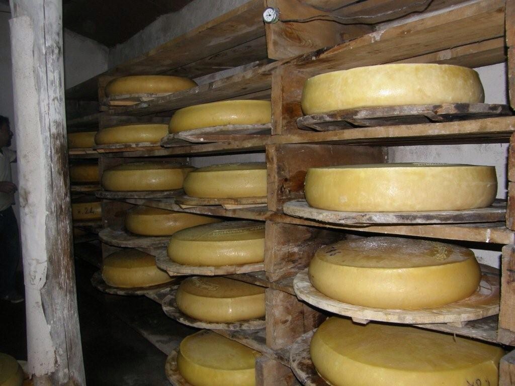 Kars Gravyer Peyniri